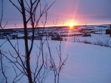 Фото. Закат на Ямале. Впереди Полярная ночь.